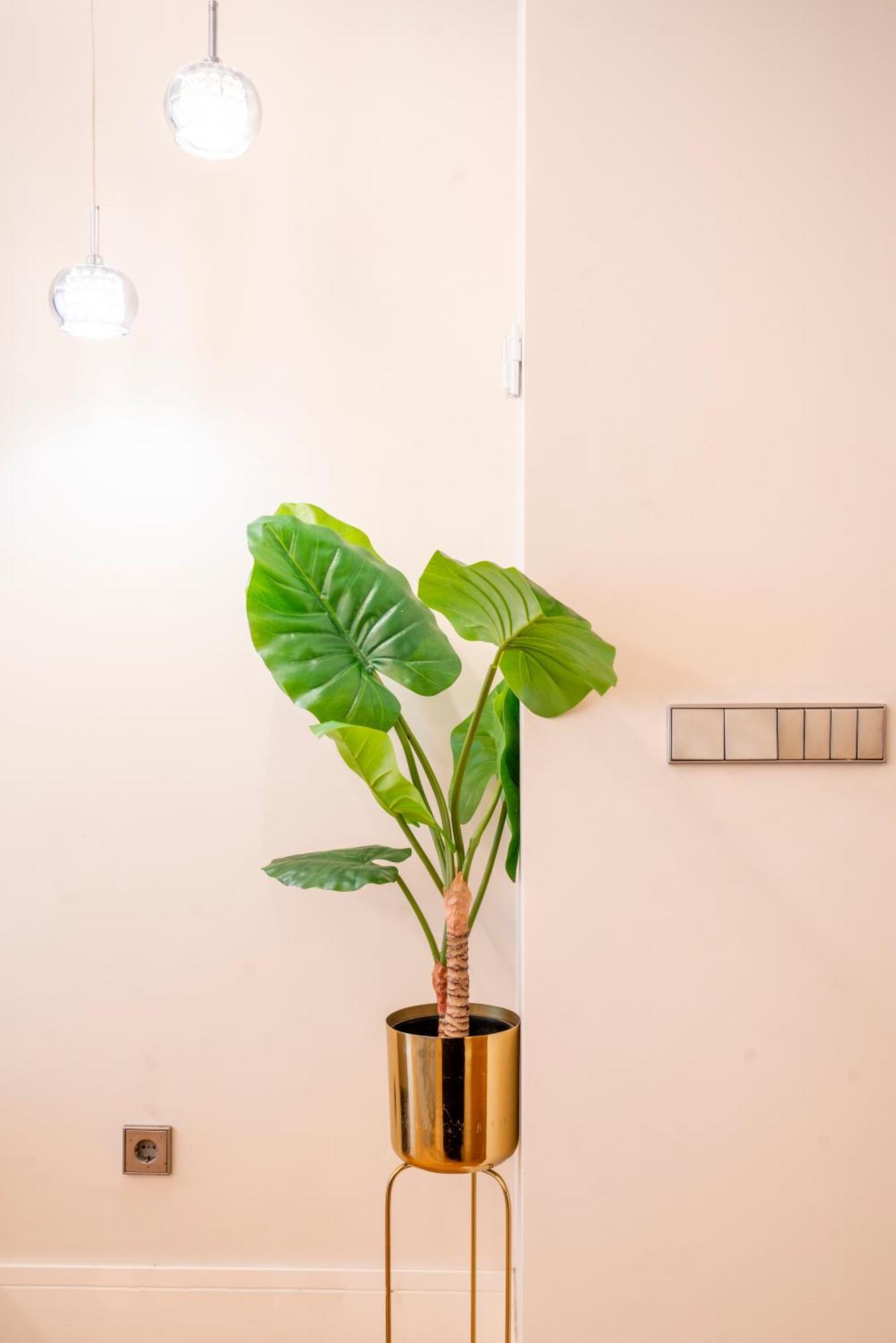V73 Elegance & Comfort - Luxury In Barrio Salamanca Apartment Madrid